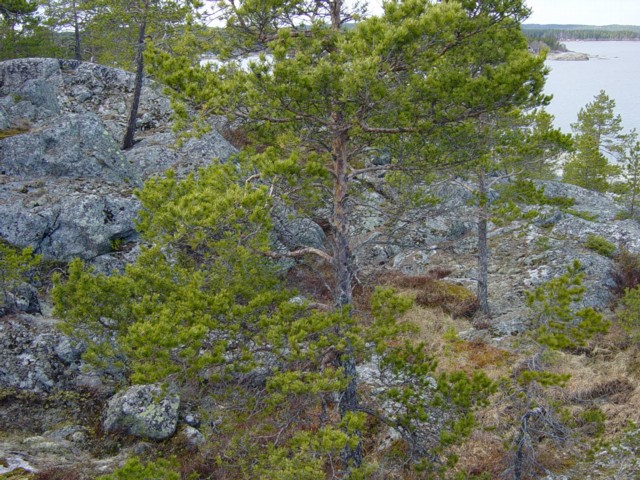 sm_DSC00087.jpg 